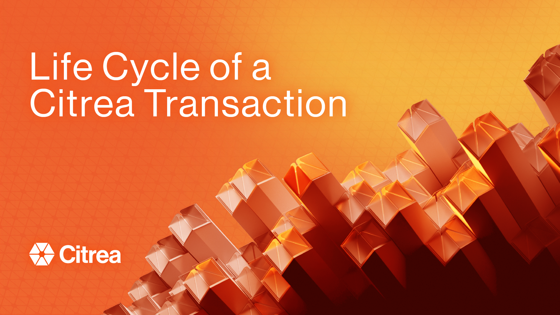 Life Cycle of a Citrea Transaction